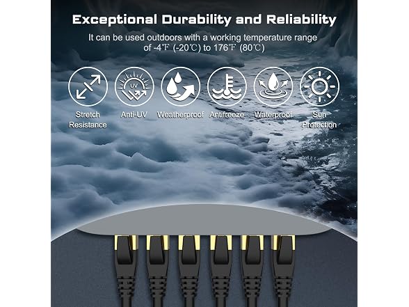 DbillionDa DbillionDa Cat 8 Ethernet Cable 40Gbps