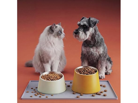 CHARMROSE Silicone Pet Feeding Mat