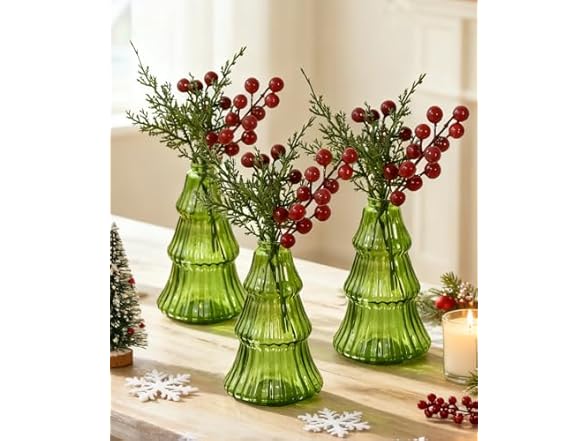 2 Pack Glass Plant Terrarium Vases