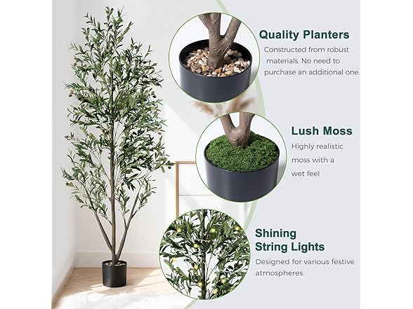 NOVAROOT Artificial Indoor Olive Tree