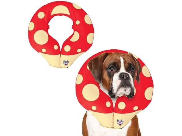 BigMouth Mushroom Inflatable Dog Collar