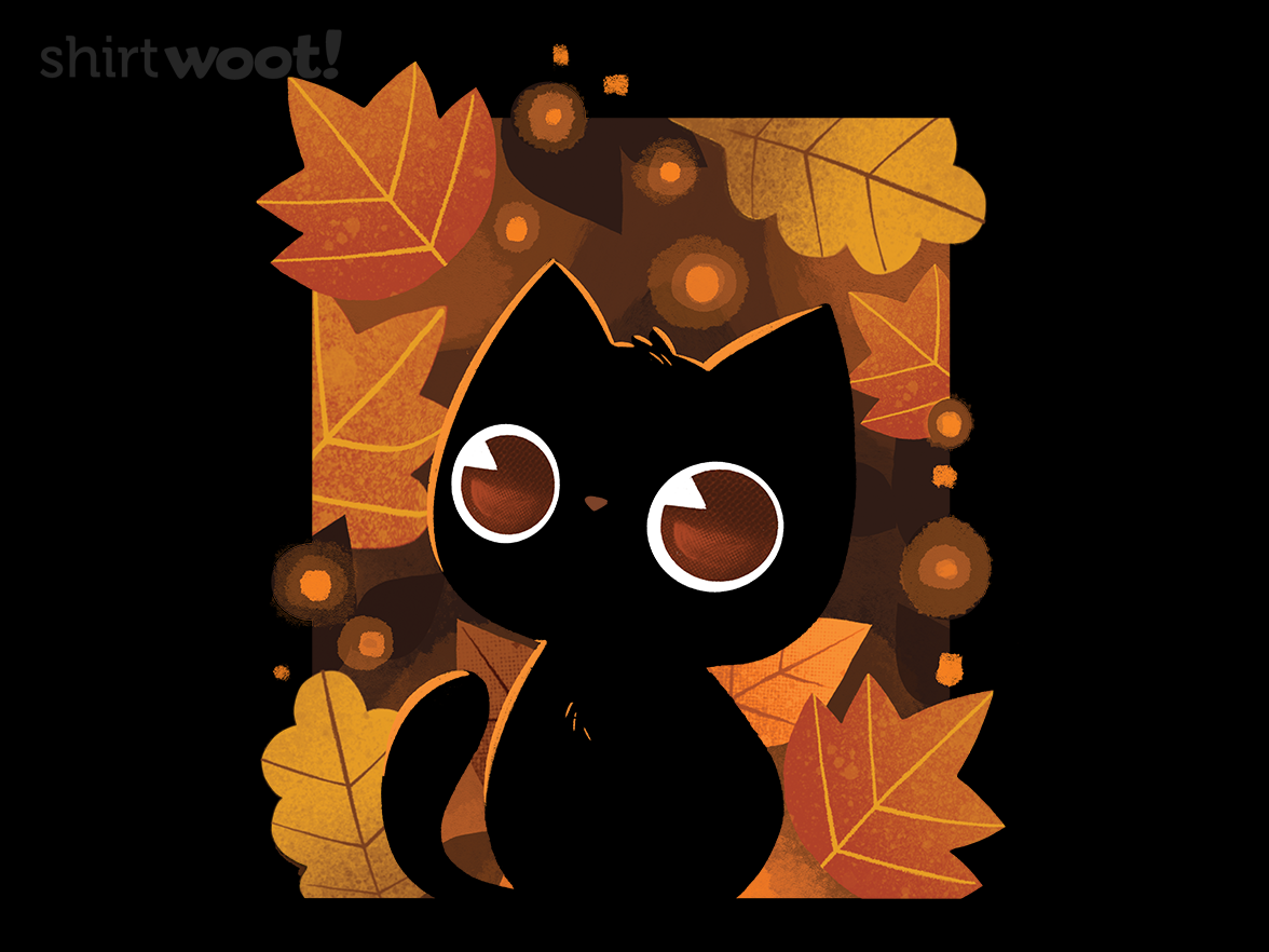 Autumn Lights - Gallery 4