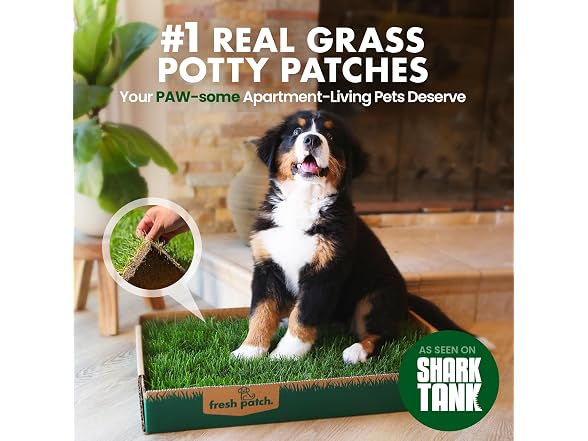 Fresh Patch Real Grass Patch for Dogs, Cats,