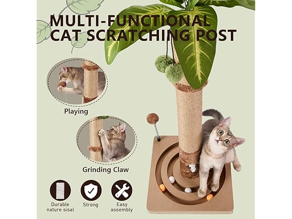 MECOOL Cat Scratching Post