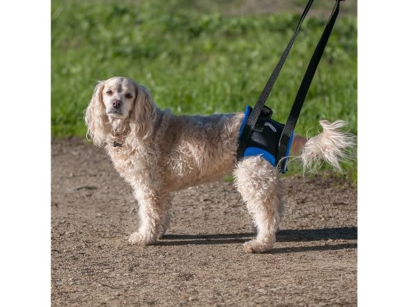 Walkabout Back End Harness, Dog and Cat Lift