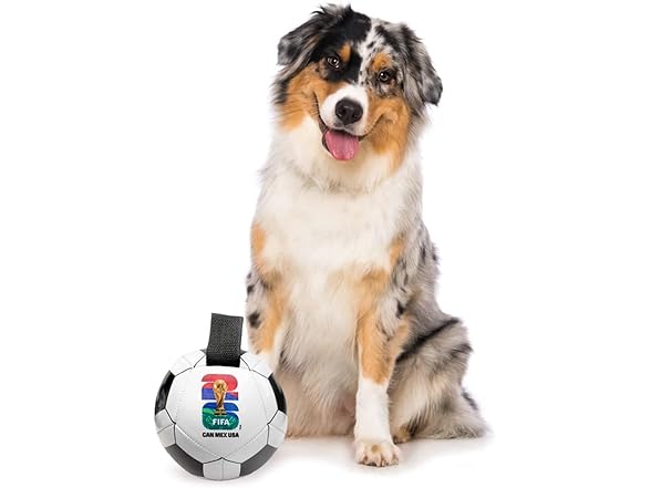 Littlearth Pet Soccer Ball Toy