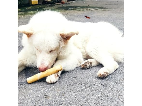 KITA Dog Coffee Wood Dog Chew Toy