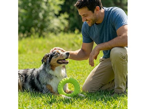 Pupstages Flex-Force Disc Dog Toy