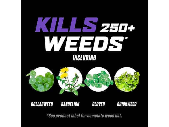 Ortho WeedClear Weed Killer RTU 1 gal