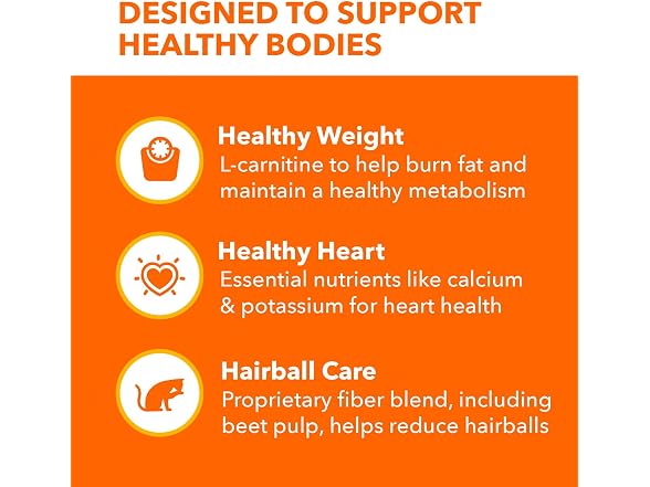 IAMS Dry Food Proactive Health Indoor Weight and H