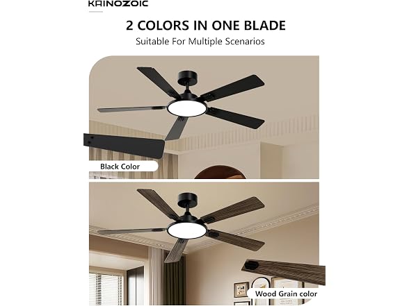 Kainozoic 52in Ceiling Fan Dual Finish
