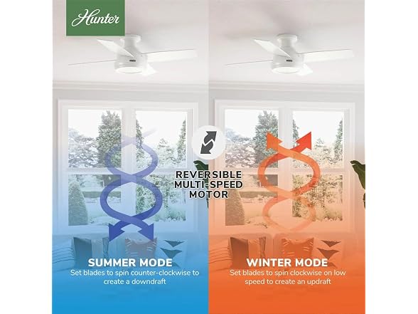 Hunter Fan 44" Fresh White w/ Remote