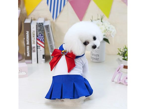 Tangpan Bow-Knot Student Cosplay Pet Costume XL
