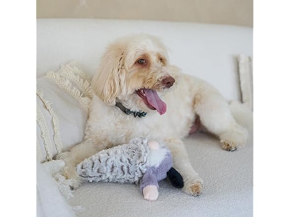 SPOT Woodsy Gnome Dog Toy