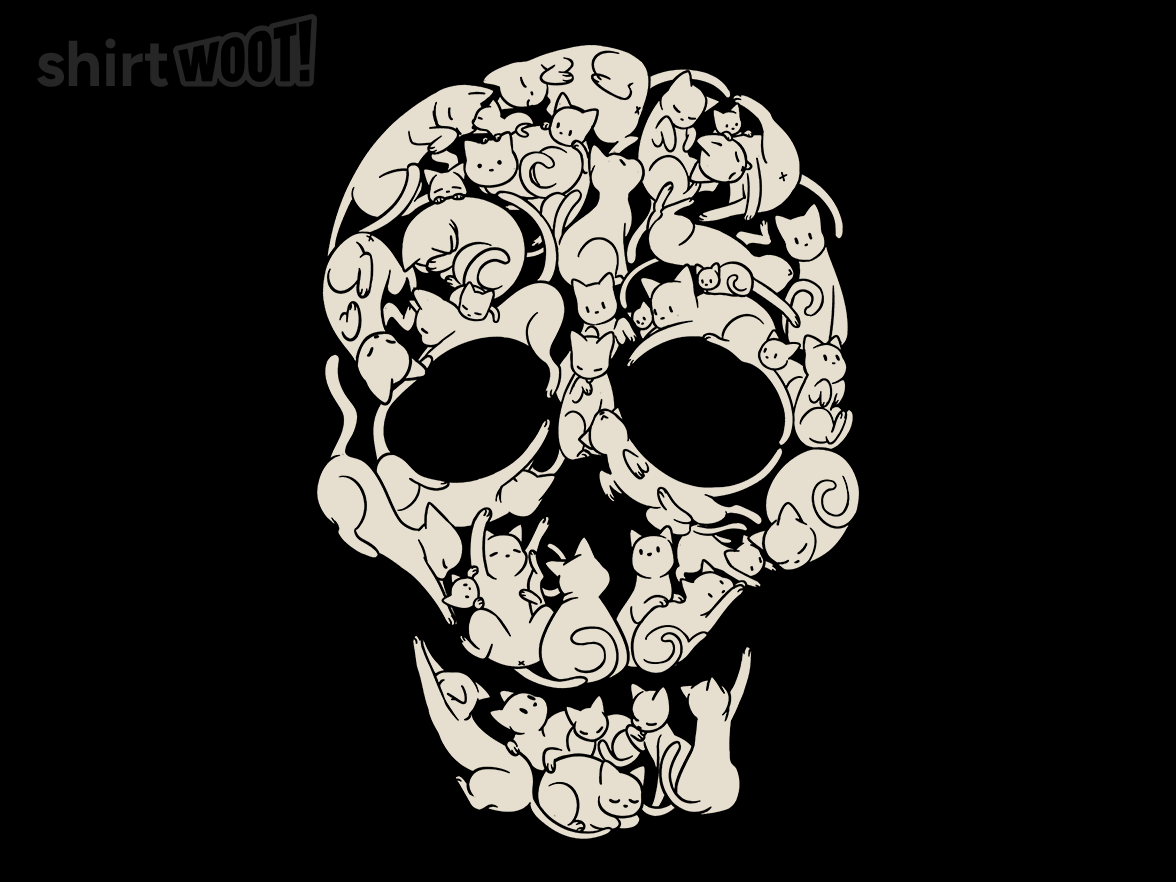 Cat Skeleton Skull - Gallery 4