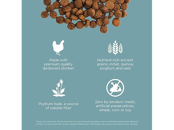 Go! Solutions Dry Cat Food, Chicken, 3lb