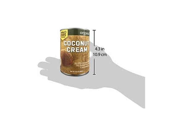 1CT Organic Coconut Cream – Unsweetened