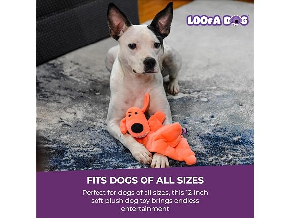Multipet Original Loofa Dog Plush Toy Mat