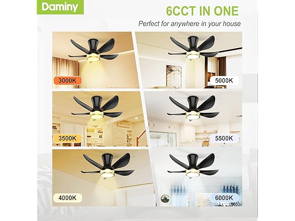 DAMINY Ceiling Fan with Light | 30In
