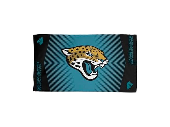 JACKSONVILLE JAGUARS NFL Hussle X Inches