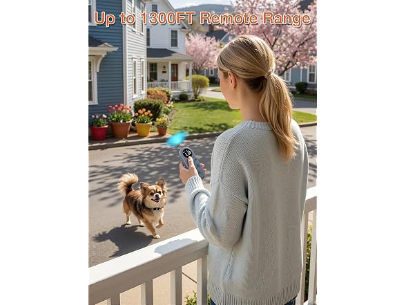 Small Shock Collar for Small & Medium Dogs 5