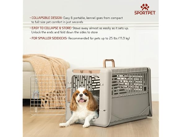SportPet Designs Collapsible Small Pet Travel