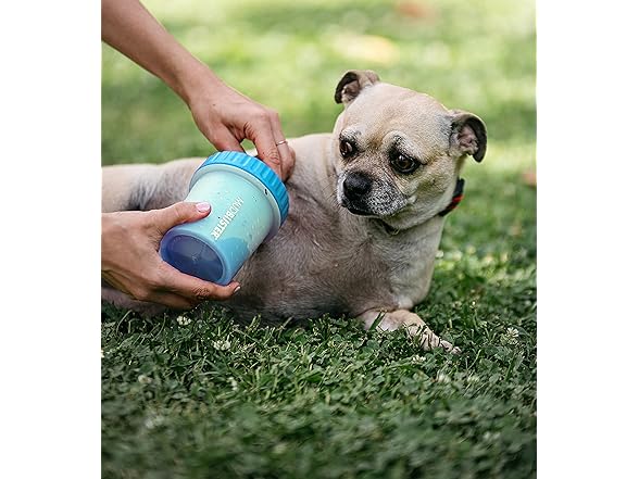 Dexas MudBuster Portable Dog Paw Cleaner