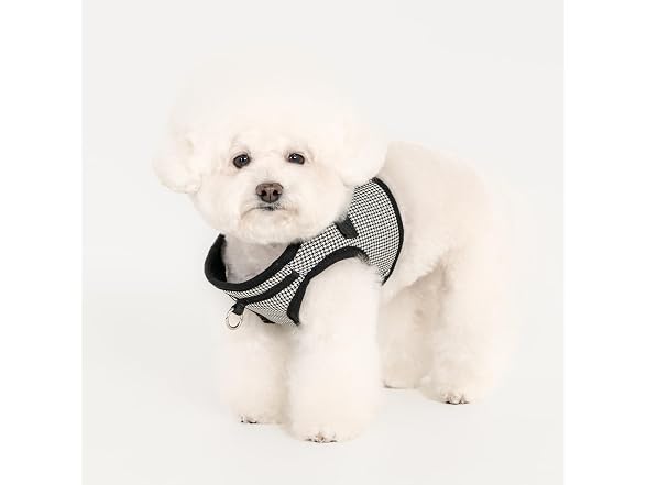 Puppia Puppia Amatus Dog Vest Harness B