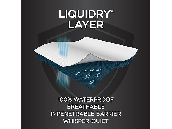 Protect-A-Bed Essential Zippered Mattress Case, Queen