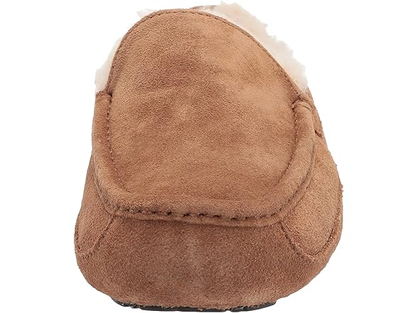 Ugg Men's Ascot Slippers
