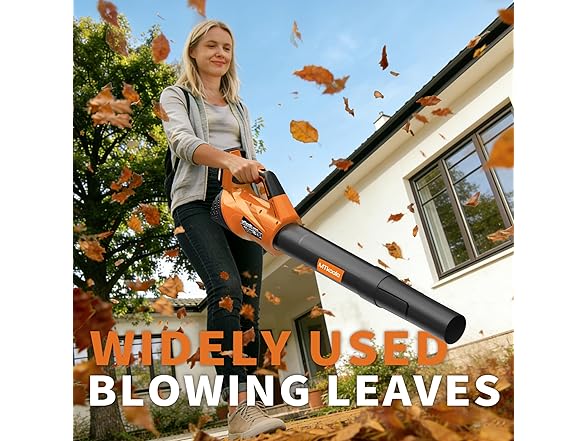 Lightweight Electric Leaf Blower