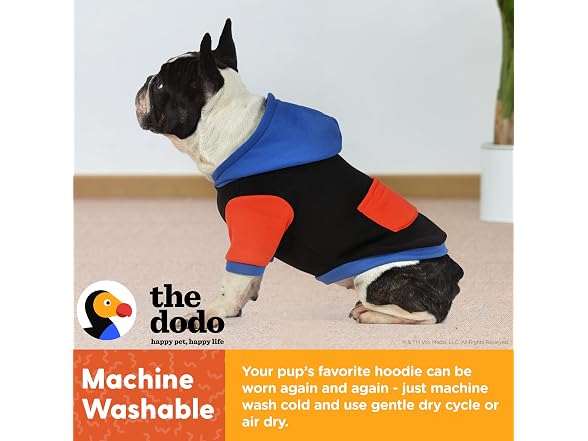 The Dodo Dog Hoodie, Black Colorblock, Size Large