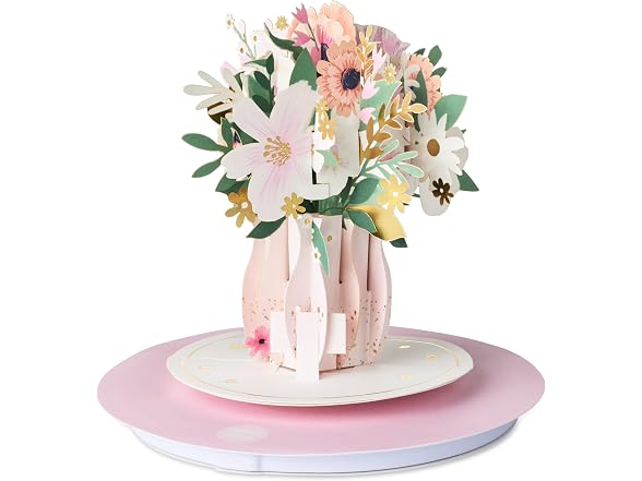 Hallmark Paper Wonder Spinning Pop-Up