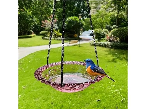 Outdoor Hanging Bird Feeder