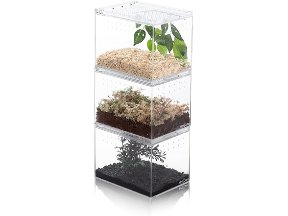 REPTI ZOO Magnetic Acrylic Case, 8x6x6