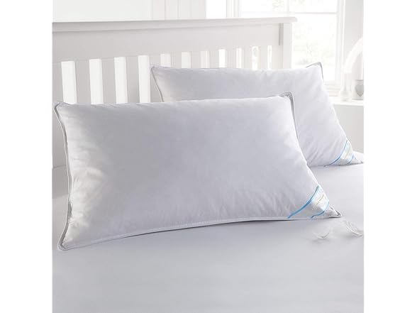 2pk Down & Feather Cover Pillows