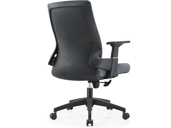Leisuremod Brio Ergonomic Office Chairs