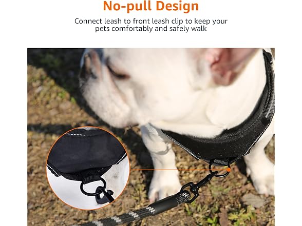 Amazon Basics No-Pull Dog Harness, Soft Padded XL Black