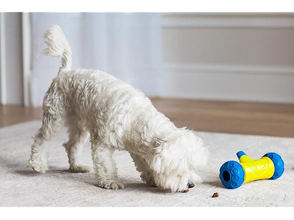 JW Pet 32290 RoboBone Electronic Treat Dispenser