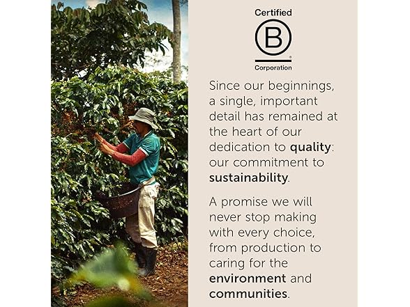 32CT illy Coffee K Cup, Pods for Keurig Machines