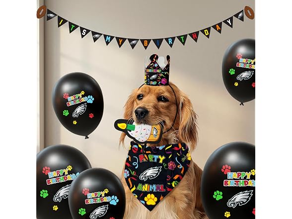 NFL Philadelphia Eagles Pet Birthday Bandana, Large/X-Large