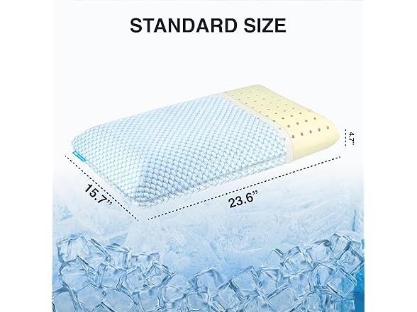 SKYCARE Zenith Standard Memory Foam Pillow