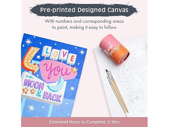 Pink Picasso Paint by Numbers Kits