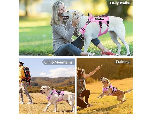 Winsee Escape Proof Service Dog Harness