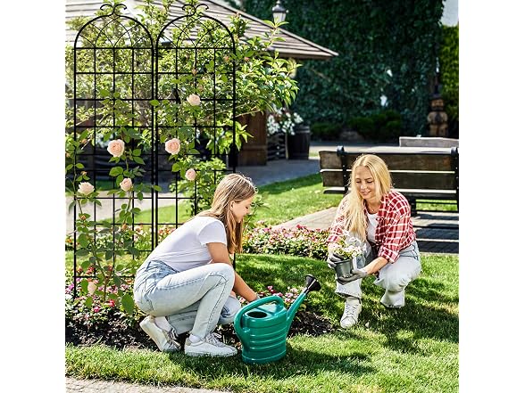 LZRS 83x20in Rustic Iron Arch Garden Trellis