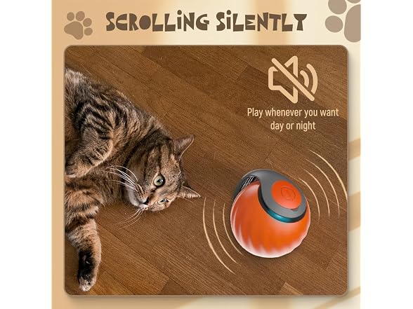 Speedy Toy Cat Toy, 2025 NewUSB Rechargeable 