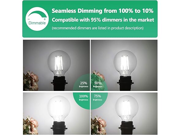 G25 LED Edison Dimmable Globe Light Bulbs, 100W
