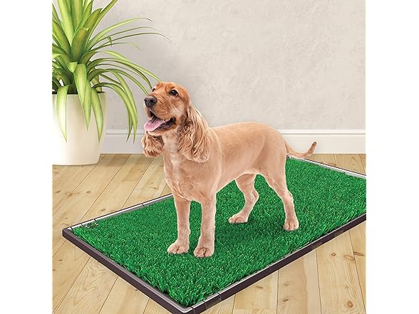 Four Paws Wee-Wee Premium Patch Dog Housebrea