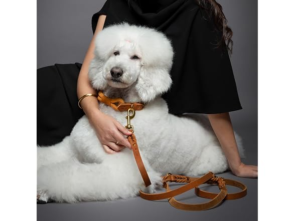 NOAH & PAW Leather Dog Leash