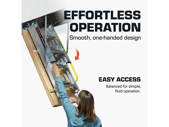 Little Giant Ladder Systems 945-00002 25 LG ATTIC LDDR